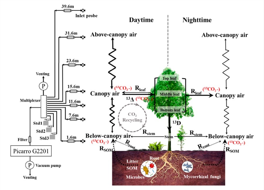 Picarro | 千烟洲亚热带森林生态系统碳同位素廓线观测系统应用案例
